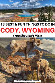 two mountain goats standing on top of a rocky cliff with the words 13 best and fun things to do in gody, wyoming you shouldn't miss