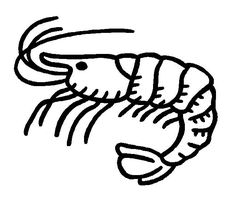 a black and white drawing of a shrimp