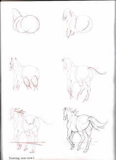 some drawings of horses running and jumping