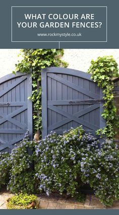 an open gate with blue flowers growing on it and the words what color are your garden fences?