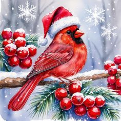 a painting of a cardinal sitting on a branch with berries and pine cones in the snow