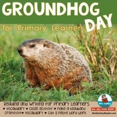 groundhog day activity pack for primary and secondary school students with an image of the groundhog