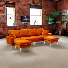 an orange couch sitting in front of two windows next to a potted plant on the floor