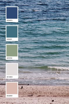 seaside color palette Sea Themed Bedroom Aesthetic, Seaside House Aesthetic, Sea Pallet Color, Seaside Colour Palette, Sea Cottage Aesthetic, Sea Palette Color, Beachy Colour Palette, Seaside Color Palette, Sea Aesthetic Room