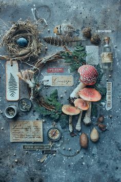 an assortment of mushrooms and other items on the ground