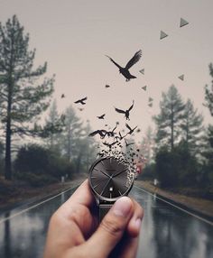 a hand holding a clock with birds flying out of it and trees in the background