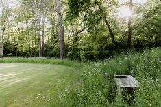 a wooden bench sitting in the middle of a lush green field next to tall grass