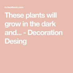 a pink background with the words these plants will grow in the dark and decoration desing