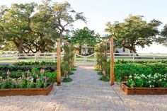 an outdoor garden with lots of flowers and trees