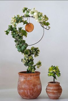 two clay pots with plants growing out of them