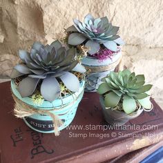 three potted succulents sitting on top of an old book