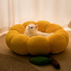 a white cat is sitting in a yellow dog bed