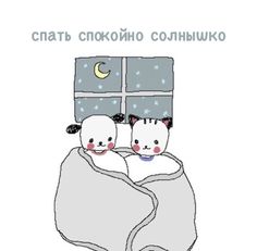 two cats wrapped up in blankets under a window with the moon and stars on it