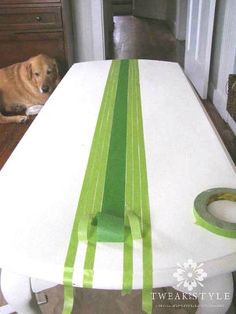 a dog sitting on the floor next to a table with a green and white stripe