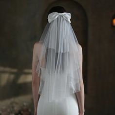 the back of a bride's wedding dress with a veil