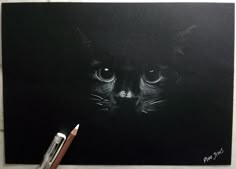 a black cat with glowing eyes is shown in this photo, next to a paintbrush