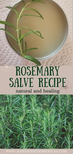 rosemary salve recipe with text overlay that reads rosemary salve recipe natural and healing