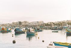 many small boats are in the water near some buildings and palm trees on the shore