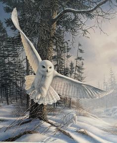 a painting of an owl in flight over a snowy landscape with trees and snow covered ground