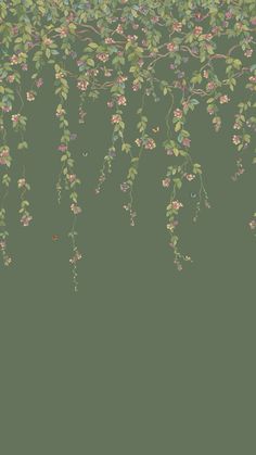 an image of vines and flowers on a green background