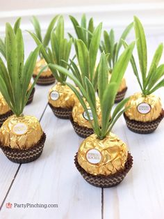 there are chocolates with gold foil on them and green plants growing out of them