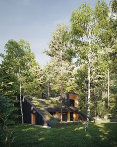 the house is surrounded by trees and has a sloping roof that extends into the woods