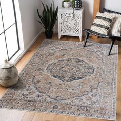 a living room area with a rug, chair and potted plant