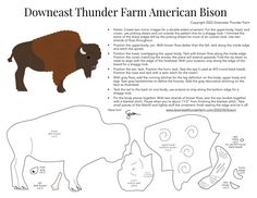 the diagram shows how to draw an american bison