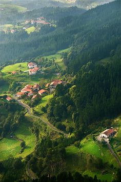 an aerial view of a small village in the middle of a green valley with lots of trees