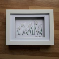 three white flowers in a shadow box frame on a wooden surface with the word senders written below them