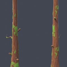 two tall trees with green moss growing on the tops and bottom of them, against a dark background