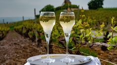 two glasses of wine sitting on top of a silver tray in front of a vineyard