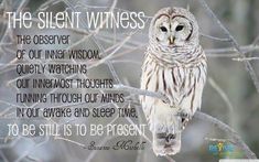 Owl Quotes, Spirit Animal Meaning, Owl Wisdom, Wise Old Owl, Animal Meanings, Animal Spirit Guides, Power Animal, Animal Symbolism, Spiritual Wisdom