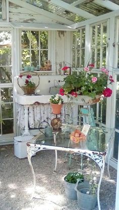 a glass table with potted plants on it