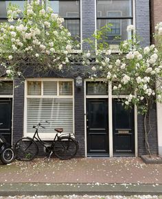 two bikes parked in front of a building with white flowers on the windows and doors