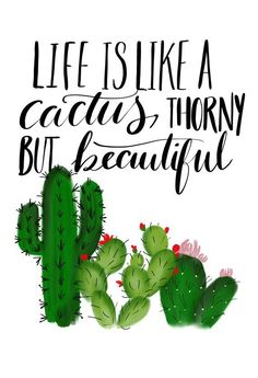 a cactus with the words life is like a cactus's thorny but beautiful