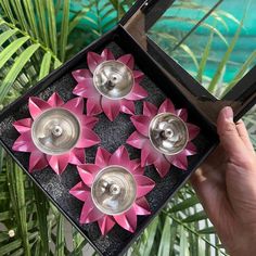 a hand holding a box with pink flowers in it and two silver cups on the bottom