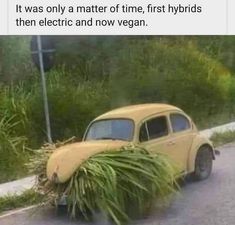 an old yellow car with grass growing out of it's back end on the road