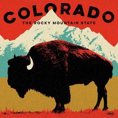 a bison standing in the grass with mountains in the background and text that reads colorado, the rocky mountain state