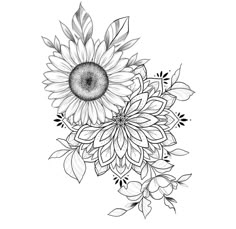 a black and white drawing of a sunflower with leaves on the bottom half of it