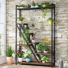 a shelf filled with potted plants next to a brick wall