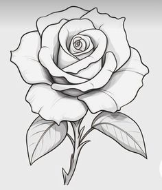 Rose Flower Drawing Design, Rose Tattoo Stencil Outline, Drawings Of Roses, Rose Flower Drawing, Rose Drawings