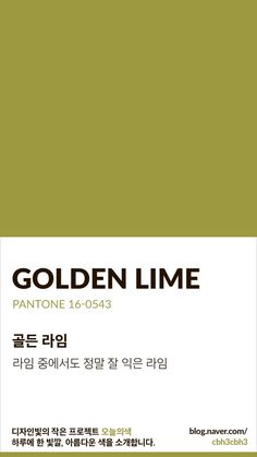 an advertisement for the golden line in korean, with black and white writing on it