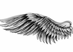 the wing of an angel with blue and white wings on it's back side