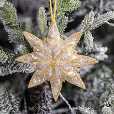 an ornament hanging from a tree with snow on the branches in front of it