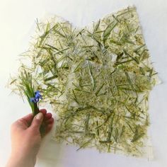 someone is cutting grass with scissors on a piece of paper that has been cut into smaller pieces