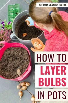 How to plant a bulb lasagne: easy guide to layering bulbs - Growing Family Layering Bulbs, Bulb Planting Guide, Bulb Lasagne, Spring Bulbs Garden, Growing Bulbs, Daffodil Bulbs, Garden Bulbs