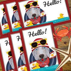 four cards with an image of a dog wearing sunglasses and a starfish in the background