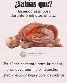 an image of the inside of a baby's stomach with caption in spanish