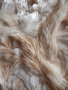 an abstract pattern made up of white and brown feathers on top of eachother